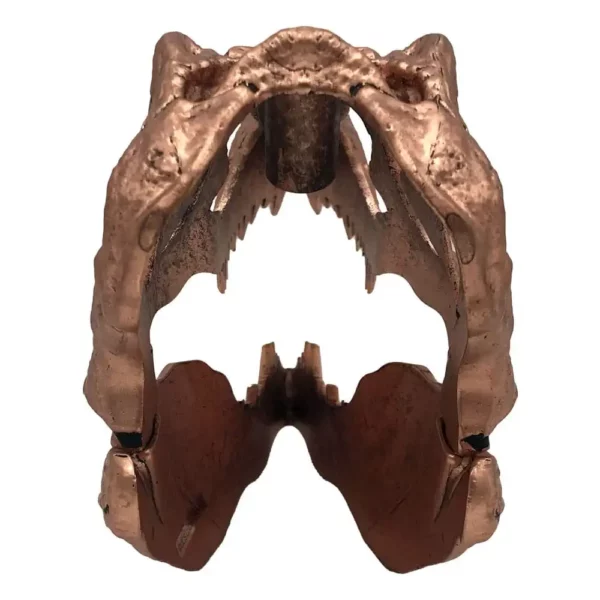 JURASSIC PARK - Mini Réplique T-Rex Skull 10 cm – Image 8