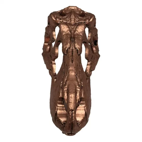 JURASSIC PARK - Mini Réplique T-Rex Skull 10 cm – Image 10