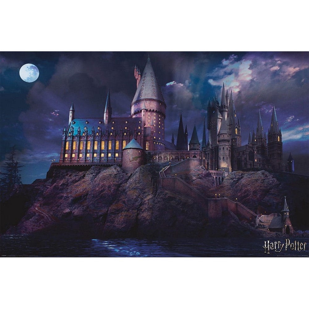 HARRY POTTER - Poster Poudlard (61 x 91)