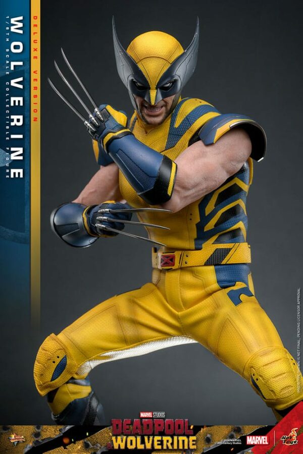 MARVEL – Figurine 1/6 Movie Masterpiece Wolverine Deluxe Version (Deadpool & Wolverine) 31 cm – Image 14
