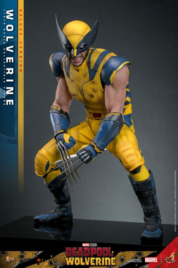MARVEL – Figurine 1/6 Movie Masterpiece Wolverine Deluxe Version (Deadpool & Wolverine) 31 cm – Image 15