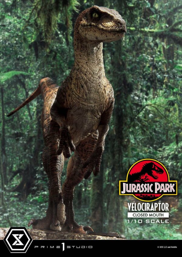 JURASSIC PARK – Statuette 1/10 Prime Collectibles Vélociraptor Closed Mouth 19 cm – Image 2