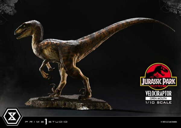 JURASSIC PARK – Statuette 1/10 Prime Collectibles Vélociraptor Open Mouth 19 cm – Image 6
