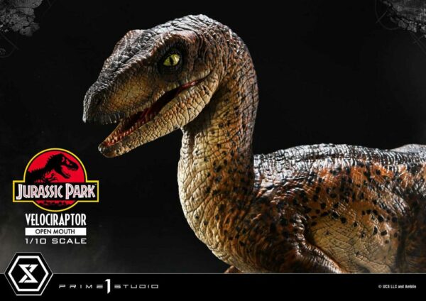 JURASSIC PARK – Statuette 1/10 Prime Collectibles Vélociraptor Open Mouth 19 cm – Image 10