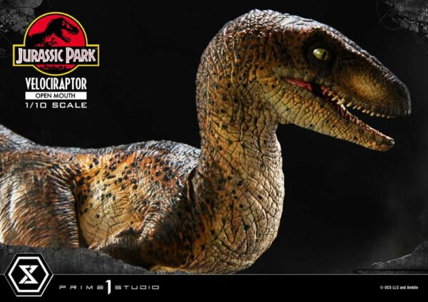 JURASSIC PARK – Statuette 1/10 Prime Collectibles Vélociraptor Open Mouth 19 cm – Image 11