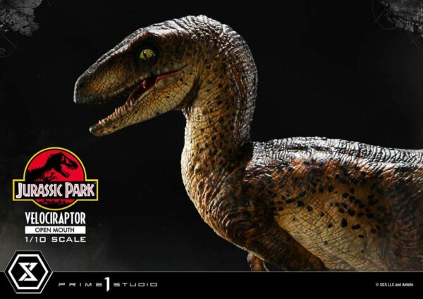 JURASSIC PARK – Statuette 1/10 Prime Collectibles Vélociraptor Open Mouth 19 cm – Image 18