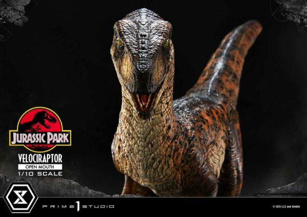 JURASSIC PARK – Statuette 1/10 Prime Collectibles Vélociraptor Open Mouth 19 cm – Image 19