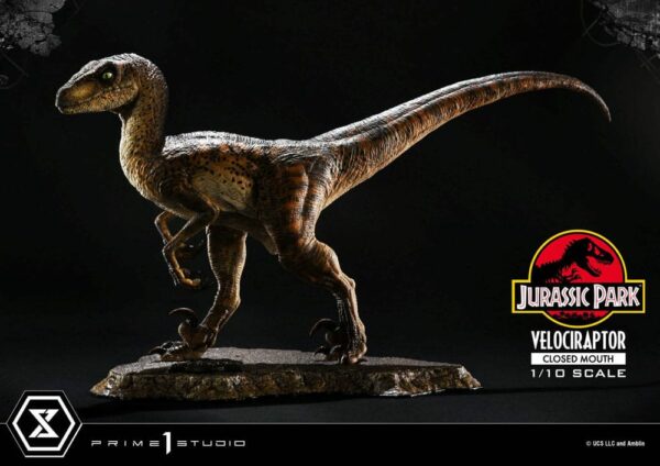 JURASSIC PARK – Statuette 1/10 Prime Collectibles Vélociraptor Closed Mouth 19 cm – Image 3