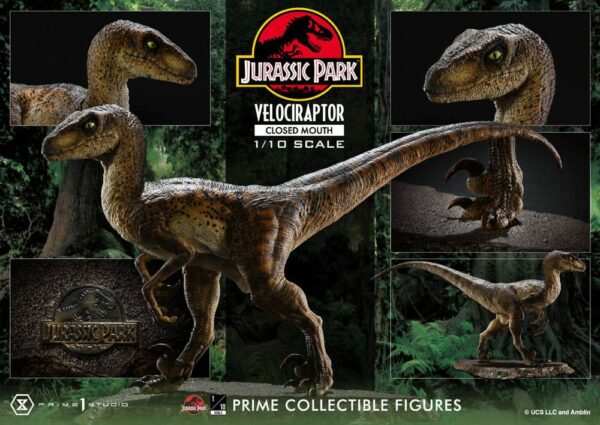 JURASSIC PARK – Statuette 1/10 Prime Collectibles Vélociraptor Closed Mouth 19 cm – Image 4