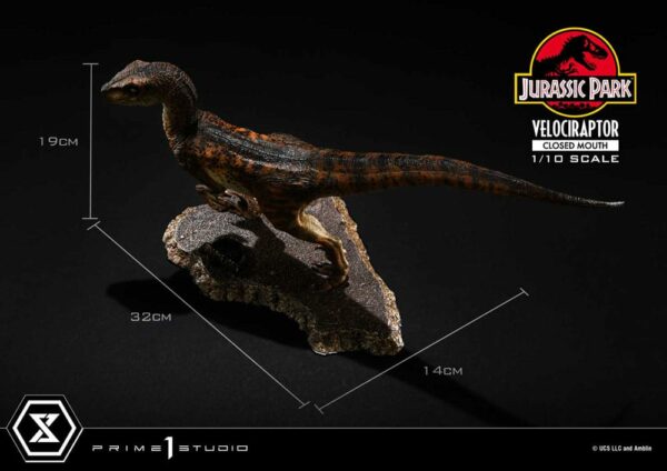 JURASSIC PARK – Statuette 1/10 Prime Collectibles Vélociraptor Closed Mouth 19 cm – Image 5