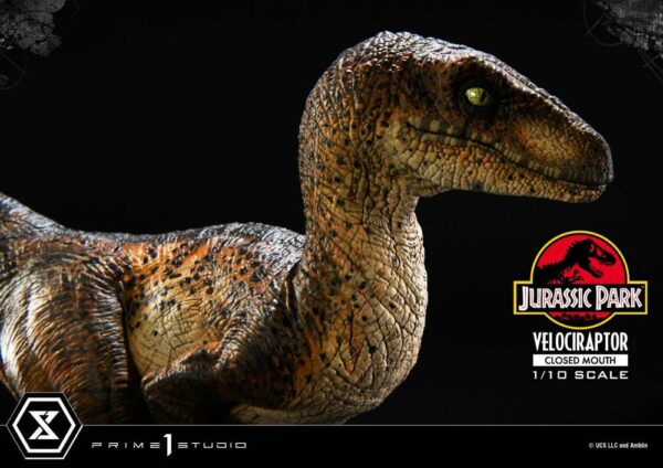 JURASSIC PARK – Statuette 1/10 Prime Collectibles Vélociraptor Closed Mouth 19 cm – Image 9