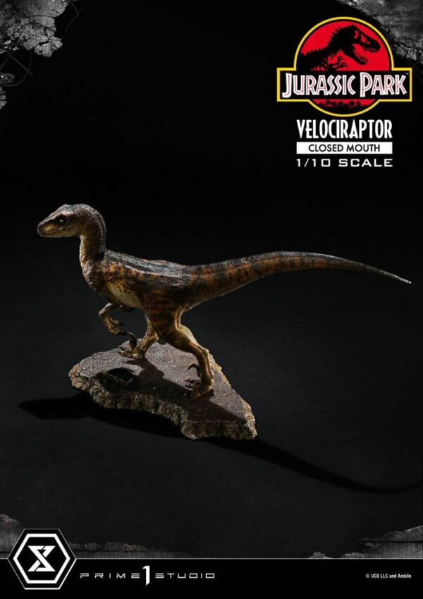 JURASSIC PARK – Statuette 1/10 Prime Collectibles Vélociraptor Closed Mouth 19 cm – Image 15
