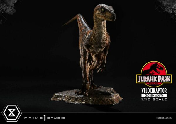 JURASSIC PARK – Statuette 1/10 Prime Collectibles Vélociraptor Closed Mouth 19 cm – Image 17