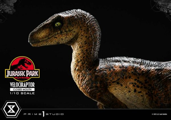 JURASSIC PARK – Statuette 1/10 Prime Collectibles Vélociraptor Closed Mouth 19 cm – Image 19