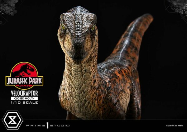 JURASSIC PARK – Statuette 1/10 Prime Collectibles Vélociraptor Closed Mouth 19 cm – Image 20