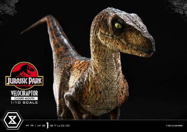 JURASSIC PARK – Statuette 1/10 Prime Collectibles Vélociraptor Closed Mouth 19 cm – Image 21