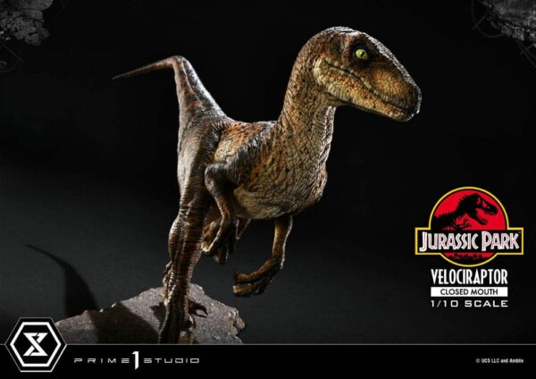 JURASSIC PARK – Statuette 1/10 Prime Collectibles Vélociraptor Closed Mouth 19 cm – Image 22