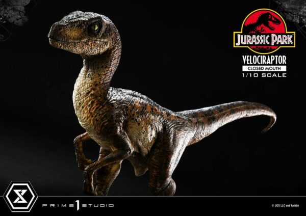 JURASSIC PARK – Statuette 1/10 Prime Collectibles Vélociraptor Closed Mouth 19 cm – Image 23