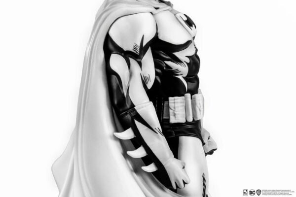 DC COMICS – Statuette 1/8 Batman PX  Black & White Version 30 cm – Image 8