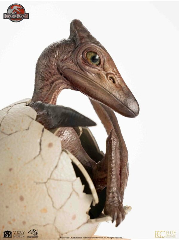 JURASSIC PARK – Set 3 Statuettes Hatchling Pterosaur Jurassic Park III 16 cm – Image 19