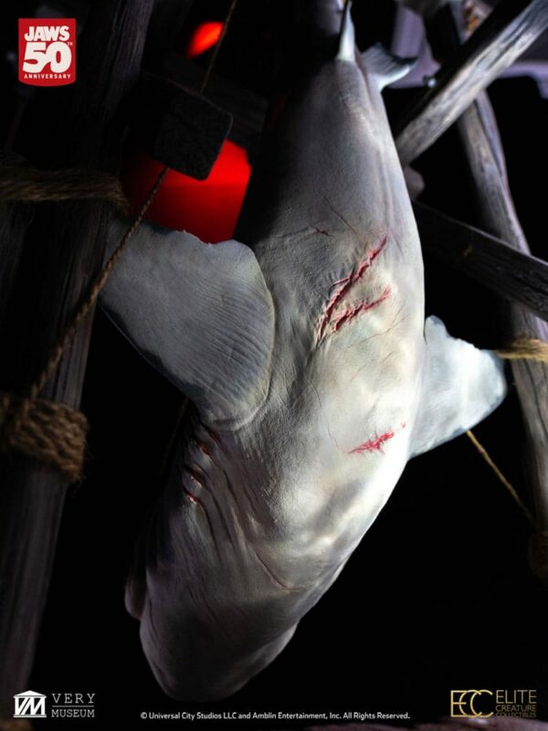 LES DENTS DE LA MER – Maquette 1/12 Jaws 76 cm – Image 9