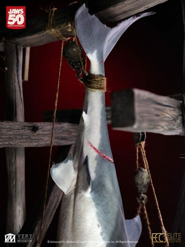 LES DENTS DE LA MER – Maquette 1/12 Jaws 76 cm – Image 10