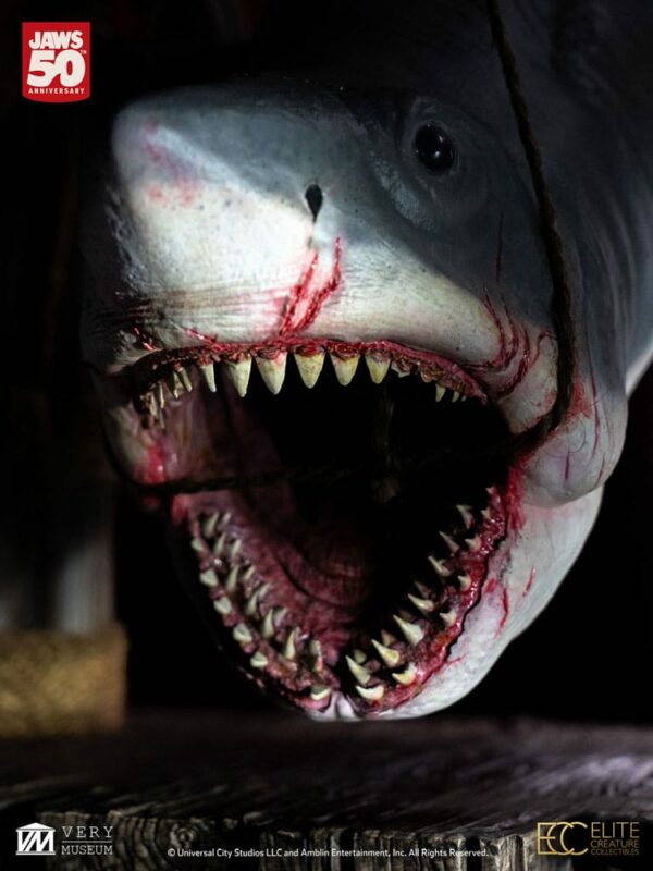 LES DENTS DE LA MER – Maquette 1/12 Jaws 76 cm – Image 14